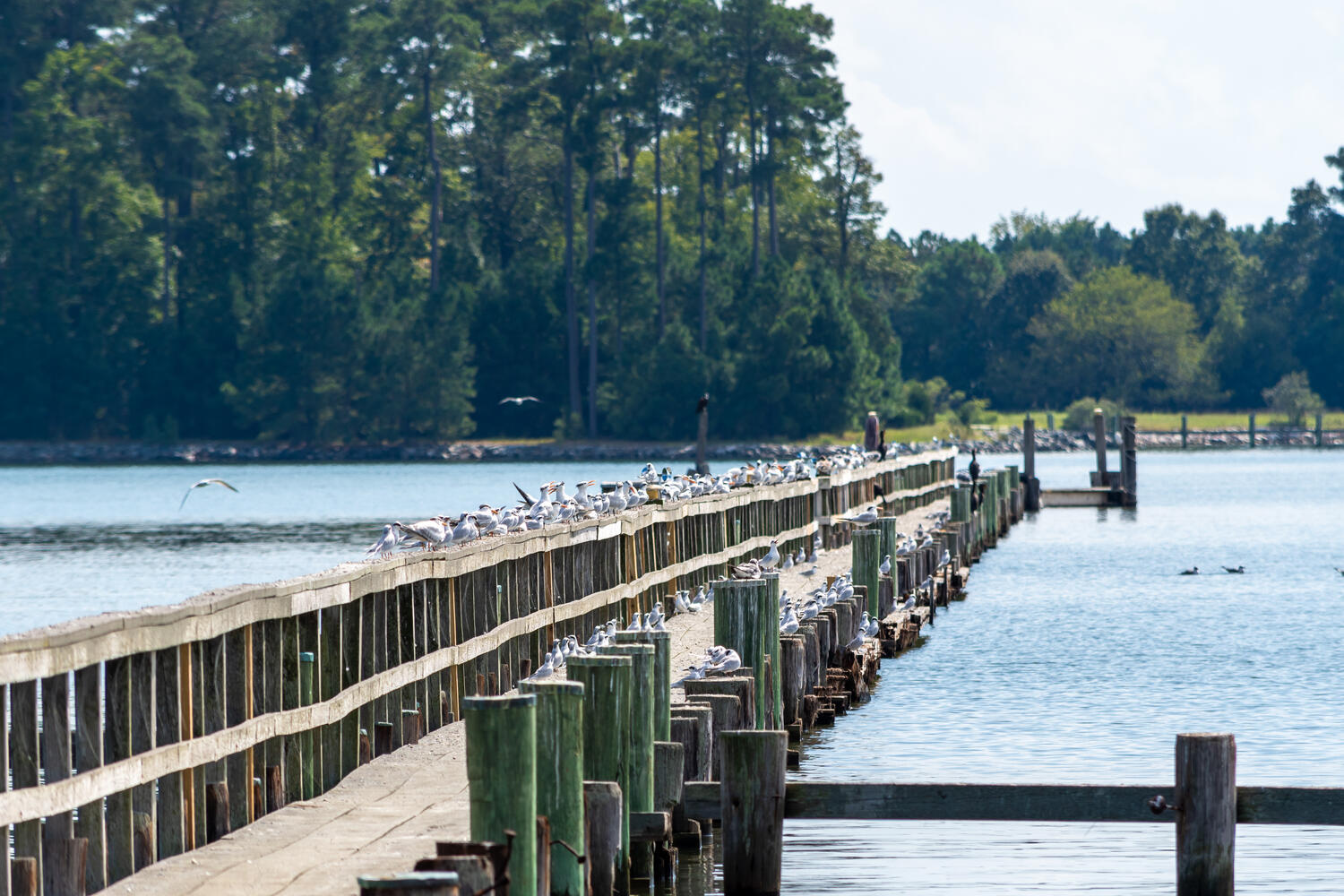 Waterfront dining in St. Michaels