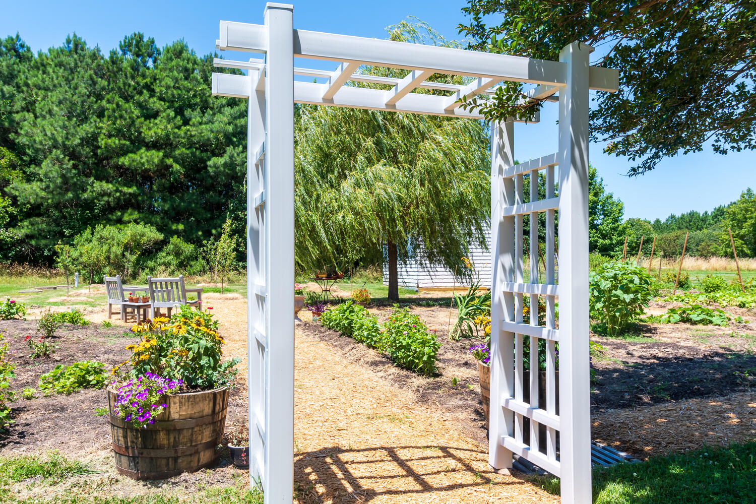 The kitchen garden