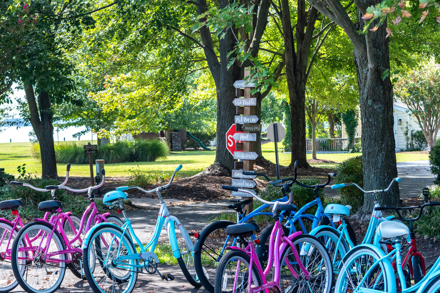 Bicycles