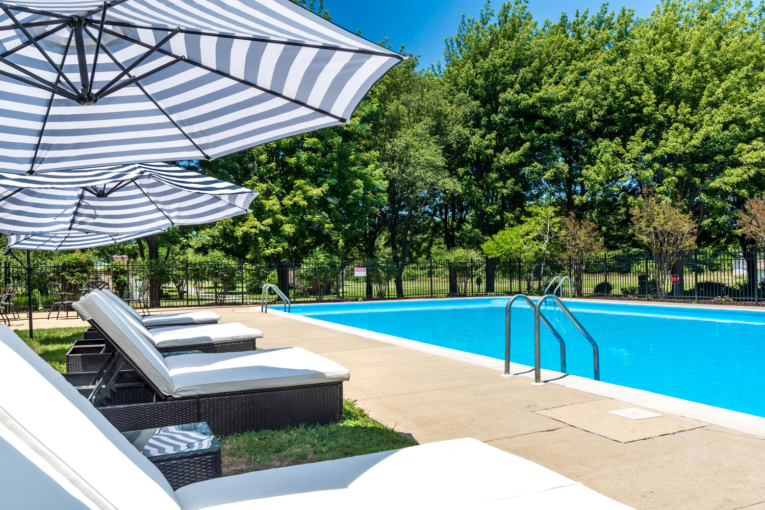The swimming pool