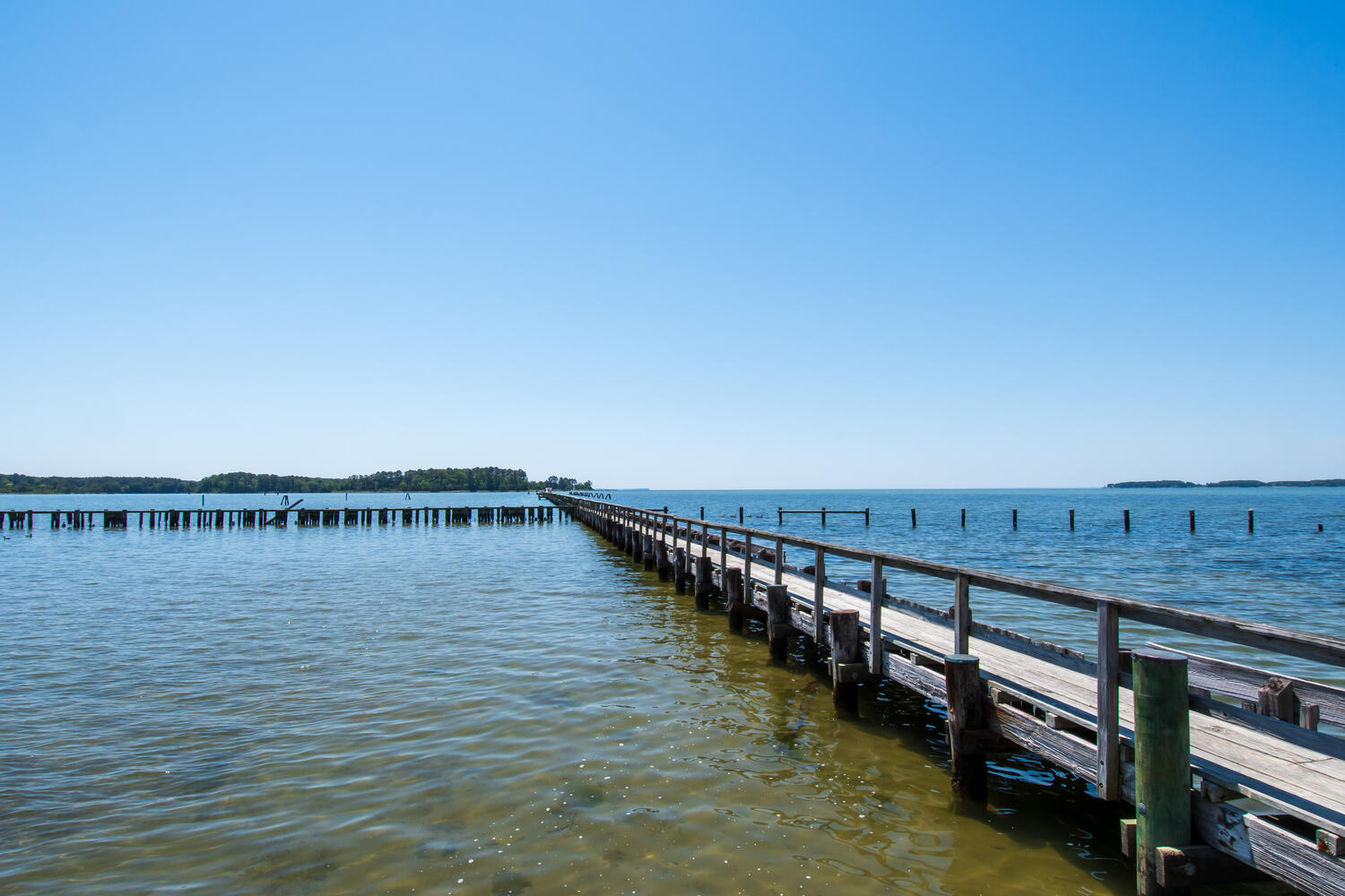 Crabbing the pier
